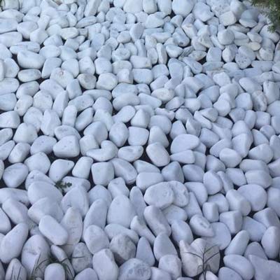 قلوه سنگ رودخانه ای سفید بهترین کیفیت تولید افشار کمپانی